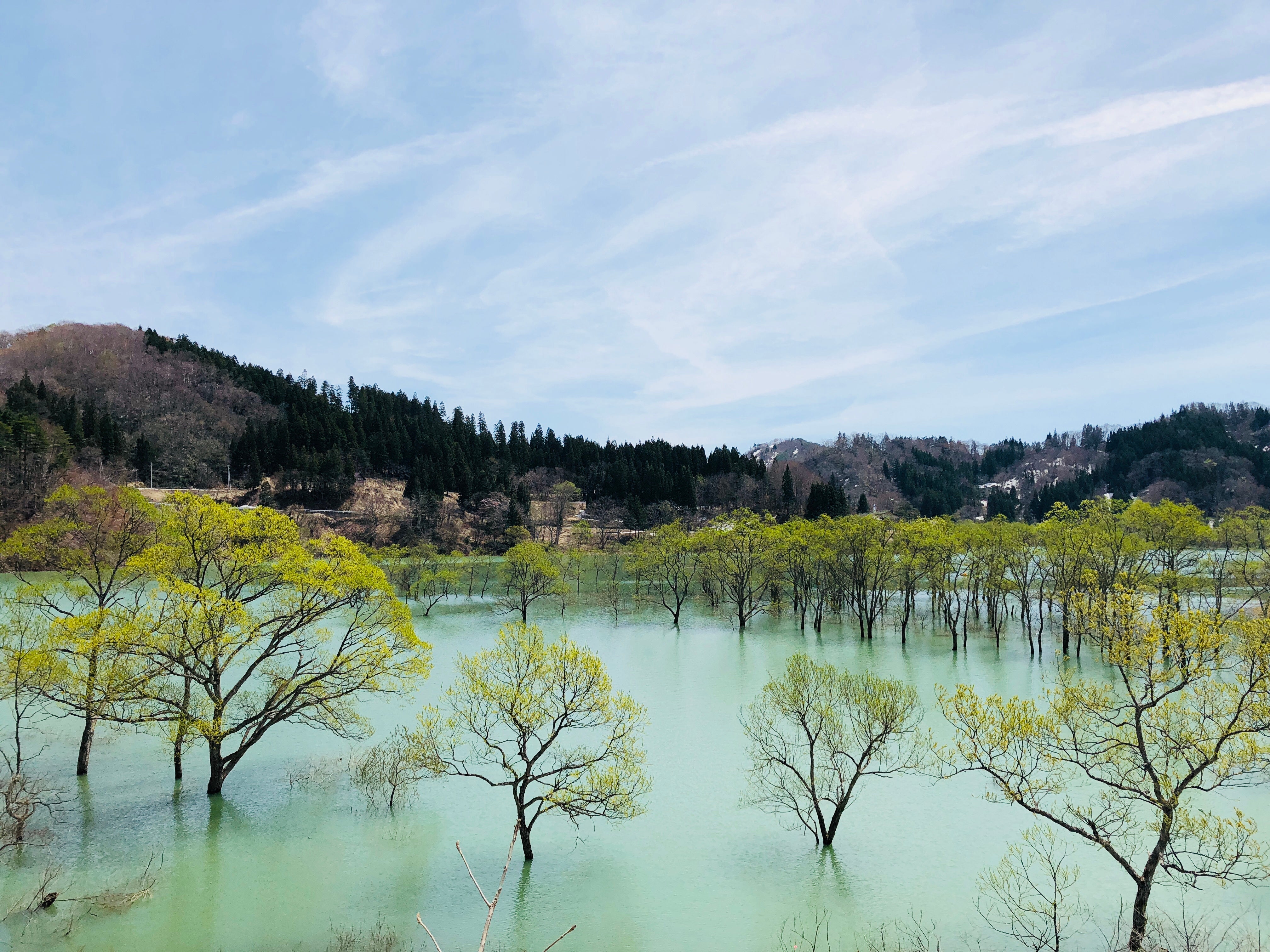 【仙台エリア発】 春の訪れ！幻想的な白川湖水没林と絶景の烏帽子山千本桜＆米沢牛直営店で食す牛鍋  (日帰り）2
