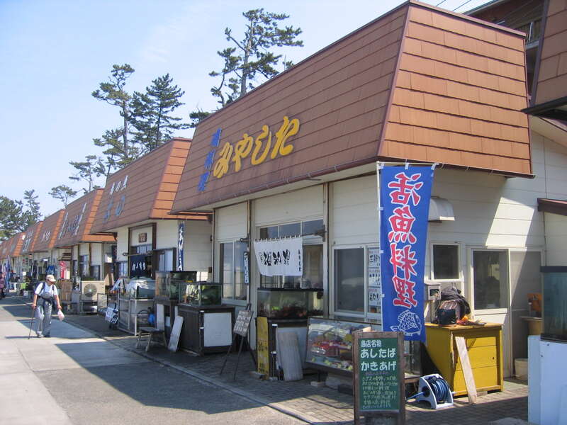 【東京都内発※町田を除く】 新型船『金波銀波』で行く！THE漁師島『初島』 アジアンガーデンズの入場券付！日帰り3