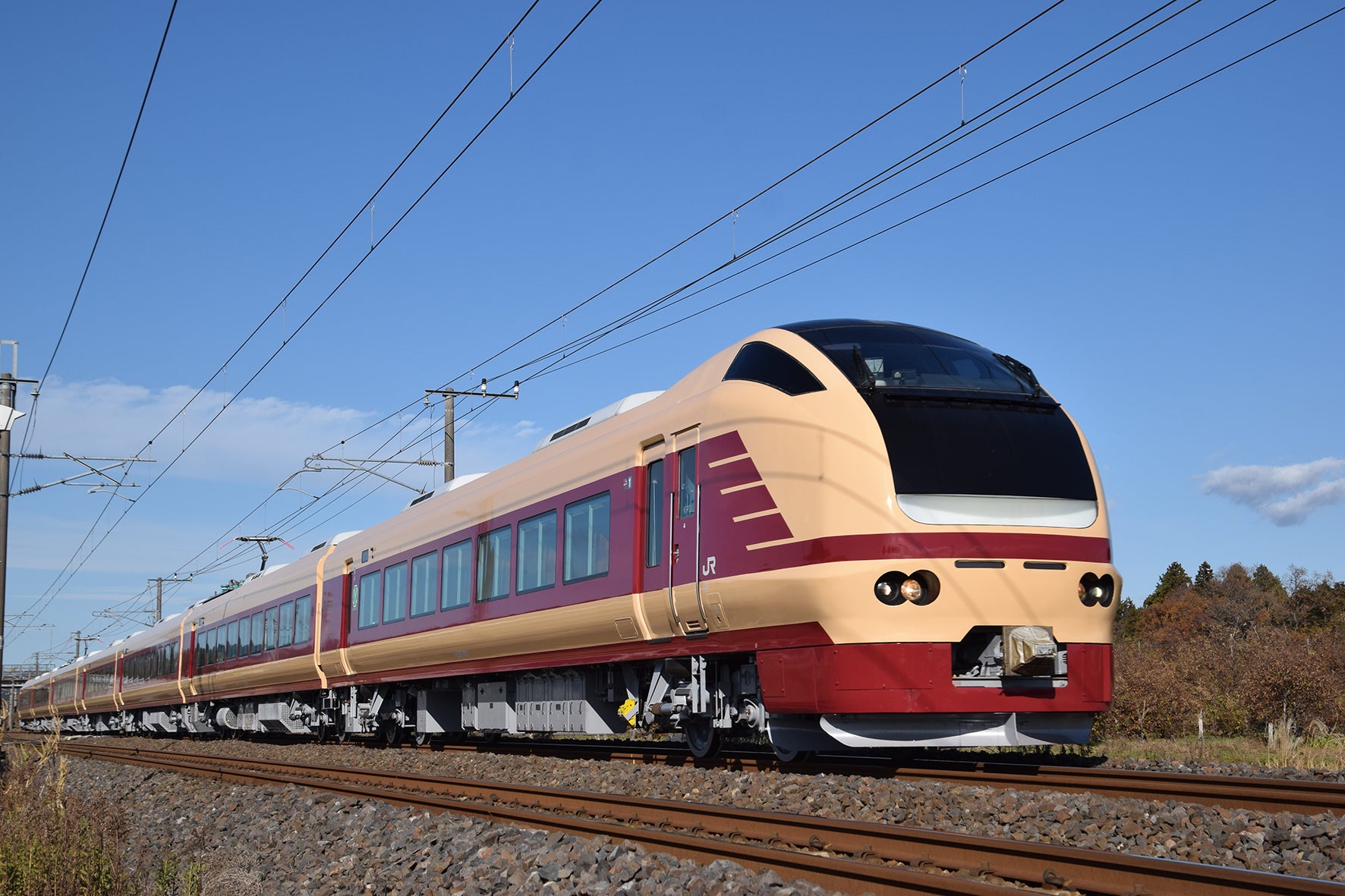 【勝田駅・水戸駅・友部駅発】臨時特急列車「常磐鎌倉号」で行く！秋の鎌倉ぶらり旅1