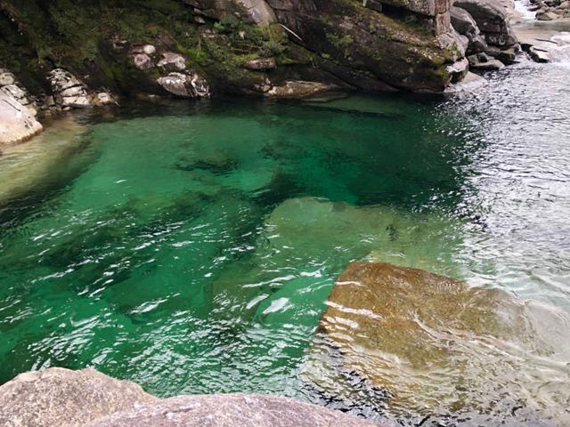 ■往復航空機利用！体力に自信がなくても気軽に屋久島ならではの自然をお楽しみいただける【ガイドと行く★白谷雲水峡(午前半日)トレッキング付き】　2泊3日3