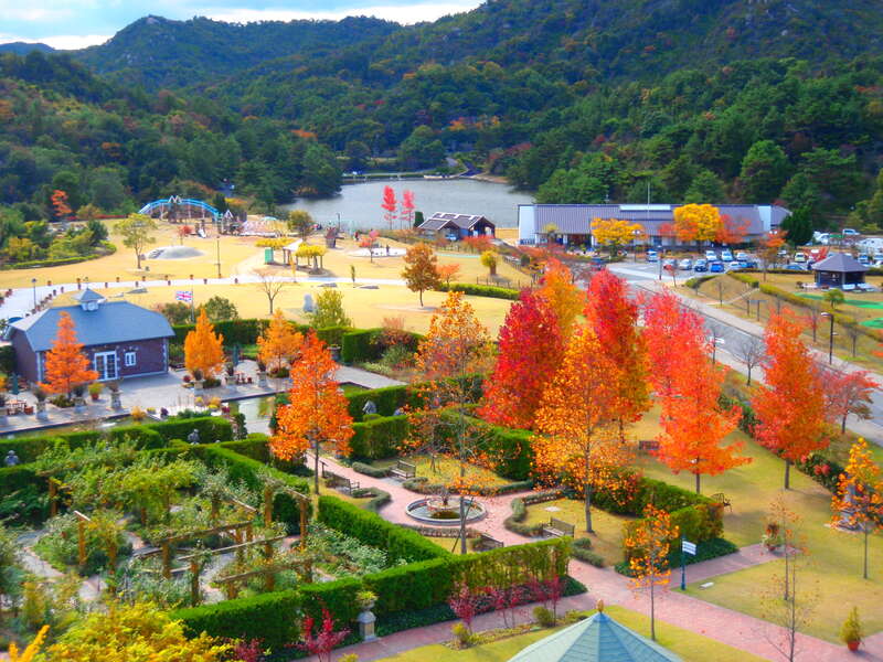 【岡山・倉敷発】 本ズワイガニ食べ放題＆飲み放題　晩秋の深山イギリス庭園とプラネタリウム鑑賞　日帰り2