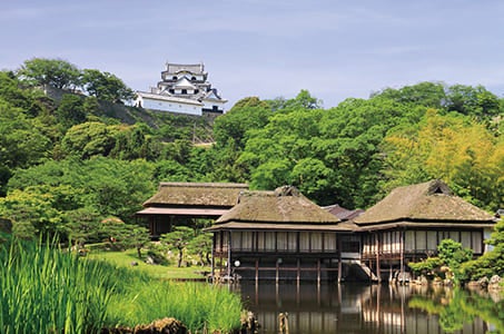 【JR岡山駅発着】湖岸に咲き誇る桜トンネル　海津大崎と桜舞う国宝・彦根城日帰り　往復新幹線利用♪（JR岡山駅⇔JR新大阪駅間）2