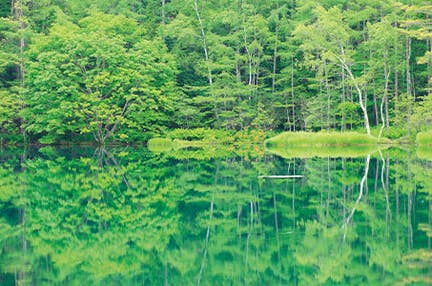八ヶ岳山麓・蓼科湖畔のリゾートホテルに3連泊 深緑の蓼科高原でゆったり過ごすくつろぎの旅4日間