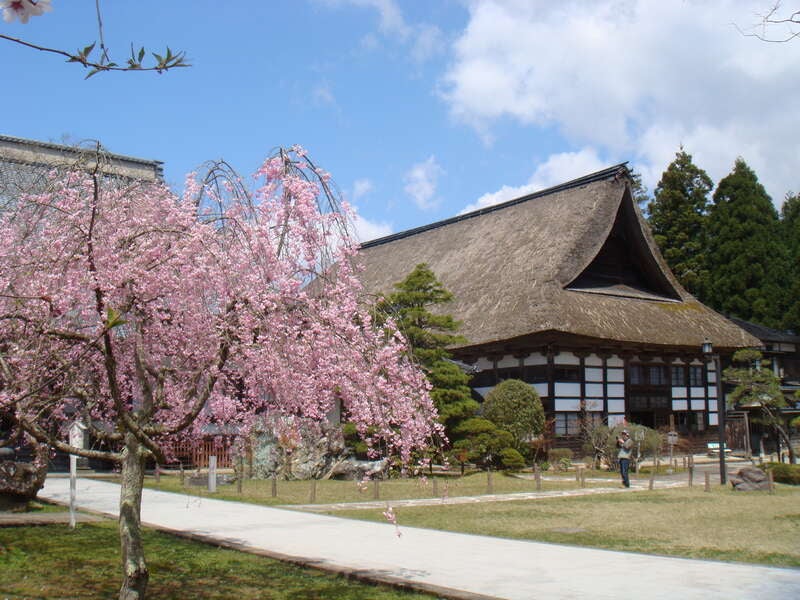 【岡山空港発】 春色の佐渡ヶ島八景たっぷり周遊４日間2