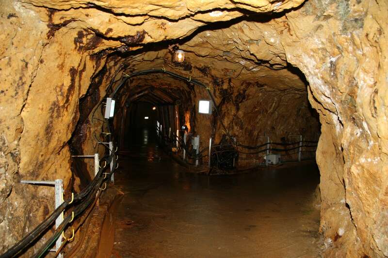 【岸和田発】 春色の天空の城「竹田城跡」と歴史ロマン溢れる日本遺産「生野銀山」& 高原のオーベルジュで食す「但馬牛」ランチ 日帰り2