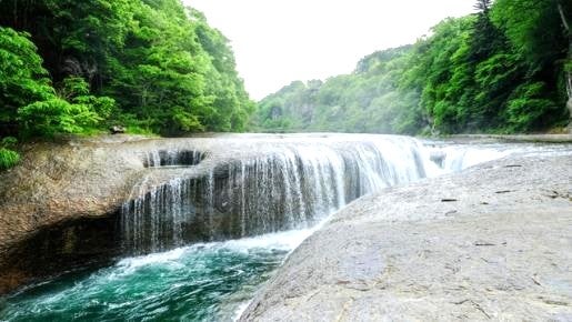 ＜Web割対象商品＞【キングツアーバス旅】ぐんまでW収穫♪高級ぶどうシャインマスカット＆大粒藤稔お持ち帰り～東洋のナイアガラ・吹割の滝～〔多摩センター・聖蹟桜ヶ丘・京王八王子発〕3