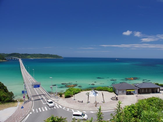 【バスハイク／博多発着】 添乗員同行 山口絶景の旅 日本最大級の鍾乳洞秋芳洞・元乃隅稲荷神社・角島大橋 ～海鮮瓦そば・カニのセイロ蒸し・サザエの壺煮を味わうランチ～2