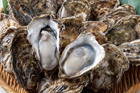 瀬戸内産牡蠣尽くし　牡蠣60分食べ放題2
