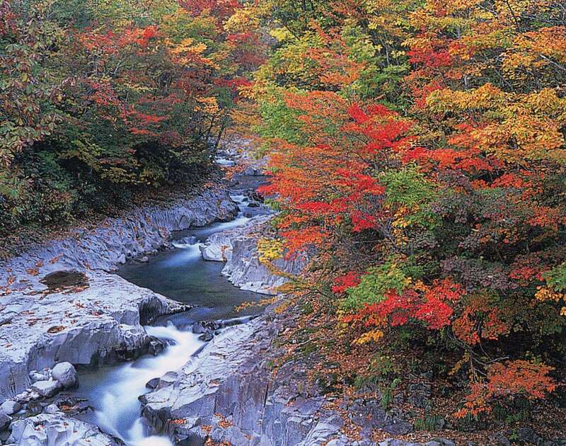 【山形県内発】 紅葉に染まる奥会津の秘境「霧幻峡の渡し」・裏磐梯「中津川渓谷」と 農家レストラン くうべえる 季節のスペシャルランチ（日帰り）3