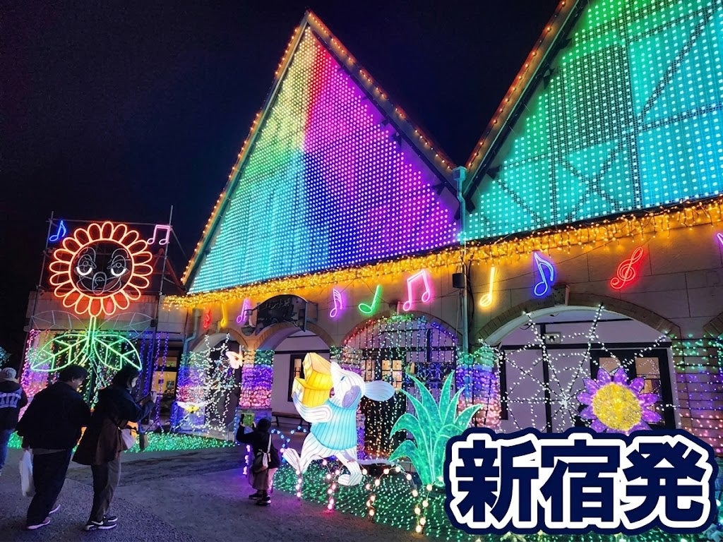 【新宿発】9,000円台～ぶっとび格安✨幻想の光の世界✨「東京ドイツ村イルミネーション」＆海の幸など50種類以上🐚「海鮮浜焼き」＆「房州みかん狩り🍊」＆「海ほたる＆はちみつ工房🐝」 冬の絶景イルミ＆房総W食べ放題ツアー🚌1