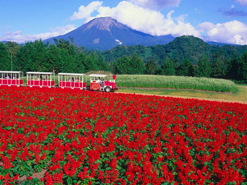 【兵庫エリア発】 大人の初秋旅～山陰横断ハイライト２日間1