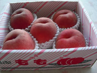 【静岡県内発】 読売特製化粧箱入り白桃１箱付！甲州桃狩り食べ放題
