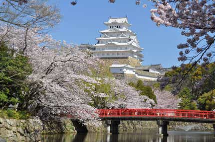 【高知県内発】 桜咲く姫路公園&海と桜のコントラストが美しい「赤穂御崎」日帰り