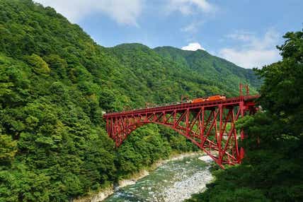 【ＪＲ和歌山駅発】 立山眺望観光列車『アルプスエキスプレス』貸切乗車！(※注）黒部峡谷トロッコ列車と白馬栂池自然園　２日間