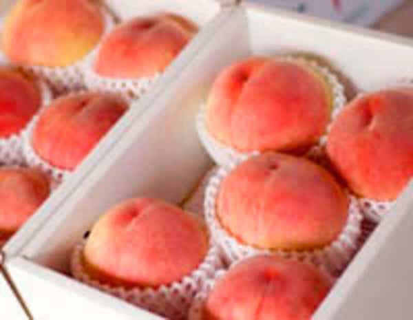 【静岡県内発】 読売特製化粧箱入白桃2箱付! 甲州白桃食べ放題1