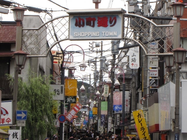 【秋田県・新幹線駅発】 「第45回横浜開港祭2026」当日のみなとみらいへご宿泊！ 人気のローカル列車“江ノ電”に乗って♪鎌倉＆江ノ島さんぽ（2日間）3