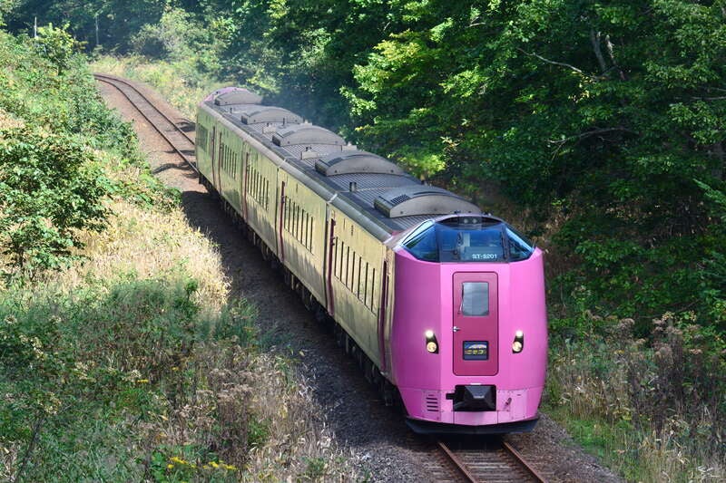 【札幌駅発】 往路 「特急　ニセコ号」で行く！ 仁木で３種（りんご・プルーン・ぶどう）のフルーツ狩り食べ放題（日帰り）1