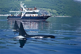 神戸空港　発
世界自然遺産知床・網走・阿寒湖を巡る1