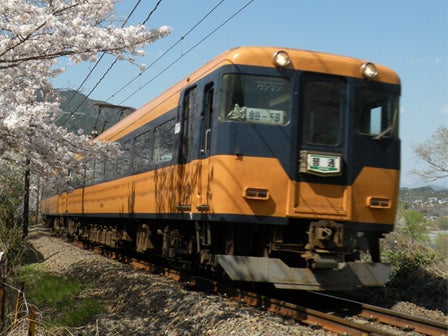 中部発　日帰り　ＳＬ・ＥＬ・普通列車　３車種乗車！大井川鐵道　さくら列車　満喫の旅！3