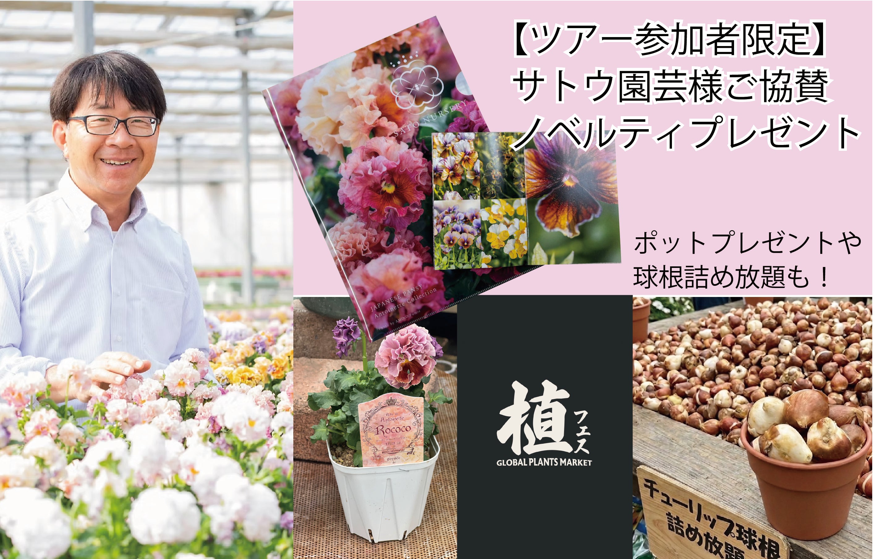 【茨城県内発】 ジョイフル本田タイアップ特別企画 植物の魅力を体験できるガーデンイベント「植フェス」と あしかがフラワーパークイルミネーション 日帰り2