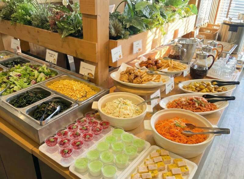 【神奈川県内・町田発】 茨城県食材×地元の本格洋食店 数量限定ポルチーニ茸ソースのハンバーグと秋の彩りビュッフェ♬ 国営ひたち海浜公園・赤の絨毯ぽこぽこ「コキア」　日帰り3