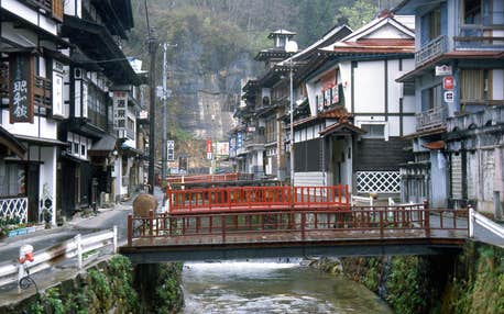 【盛岡発】銀山温泉街散策と通称トトロの木