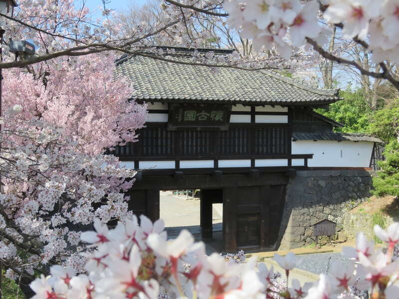 【山形県・新幹線駅（山形駅～米沢駅）発】 長野ぐるっと大周遊　桜の名所を訪ねて　【天下第一高遠城址公園】　【小諸懐古園】【上田城跡公園】【松本城公園】と小布施　善光寺３日間2