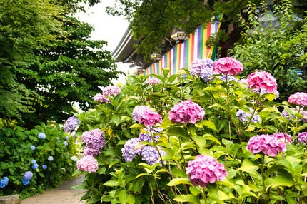 【大阪市内エリア発】 こんな旅してみたかった！夏のおもてなしミステリー　日帰り