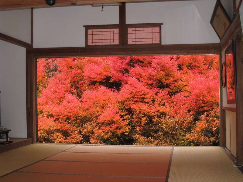 【東京駅・品川駅・新横浜駅発】 天空の城「竹田城跡」と紅葉名所周遊 湯村温泉・日本三名泉の有馬温泉　3日間1