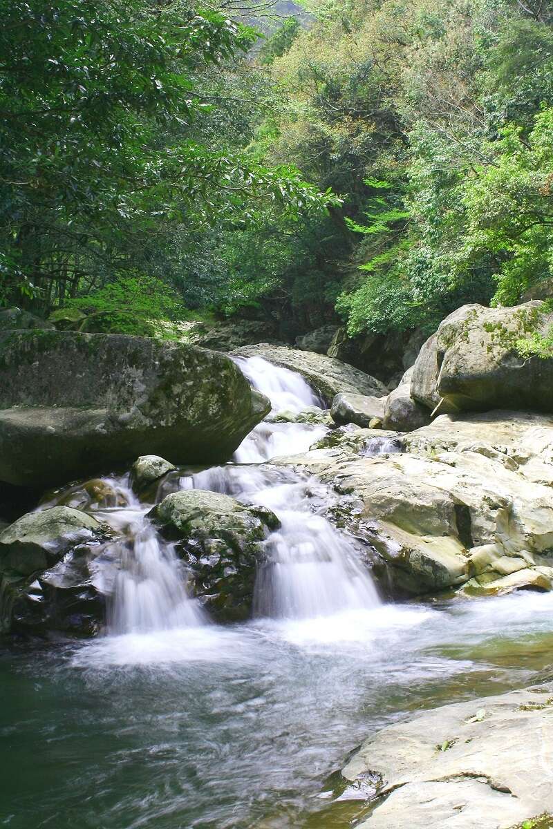 【愛媛県内発】 伊予灘ものがたり道後編と納涼！滑床渓谷　日帰り1