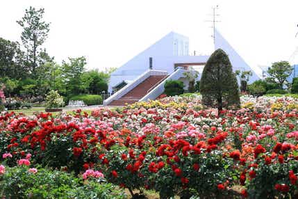 【鳥取駅南口発】 母の日ミステリーツアー　日帰り