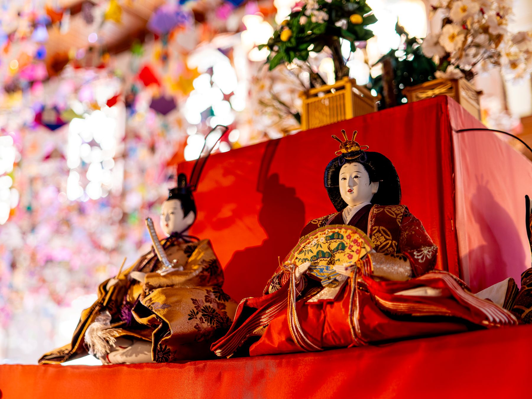 春香るお座敷盆梅と佐賀城下ひなまつり🎎日帰りバスツアー🚌2