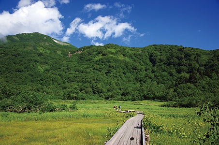 ＜標高1680m＞八方尾根　と＜標高1900m＞栂池高原 国際山岳リゾートで5つの空中遊覧 5日間　旅程内のゴンドラ・リフト券、入場料すべて込み！3