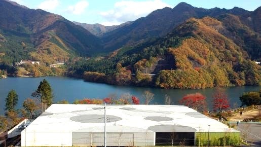 ＜Web割対象商品＞【キングツアーバス旅】ローカル列車に揺られてもみじ狩り！わたらせ渓谷鐵道と感動の富弘美術館・高津戸峡散策〔狛江・調布発〕3