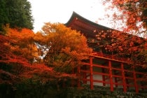 【木曽川・一宮発】＊日帰り昼食付＊『世界遺産　比叡山延暦寺３つの特別公開　「薬師如来・不滅の法灯・十二神将」』2
