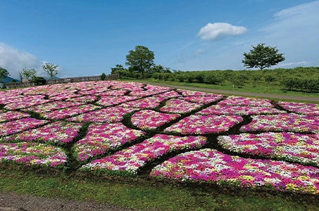 【ランクアップ】深耶馬渓・猿飛千壺峡・菊池渓谷・九重“夢”大吊橋・別府ロープウェイ秋彩5つの紅葉名所めぐり2日間3