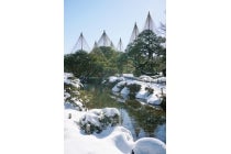 ★WEB予約で500円引★１名参加OK！【一宮・津島発】＊1泊4食付＊『辰口温泉』3