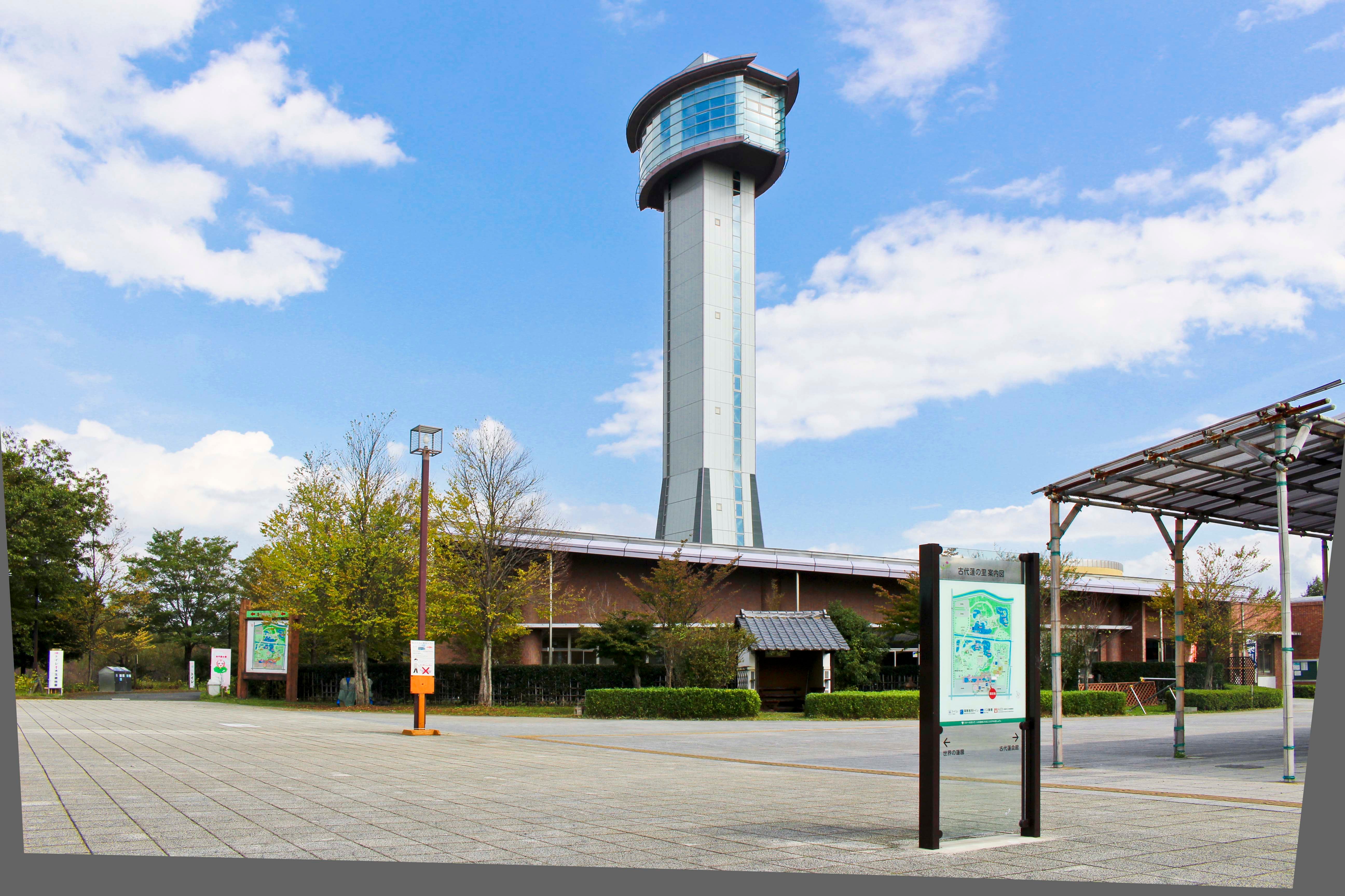 【横浜・町田発】2日間限定「ＳＬパレオエクスプレス」熊谷～行田市間特別運行乗車と世界最大「行田の田んぼアート」日帰り3