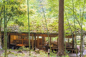 姫路　龍野　発
みたき園山菜料理と森の学校ではちみつ採集体験
