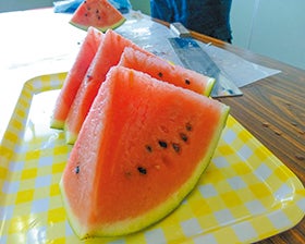 大山サーモンのご昼食と倉吉極実スイカの試食とスイカ選果場見学2