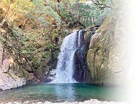 那智の滝 神秘ウォーク1