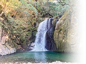 那智の滝 神秘ウォーク