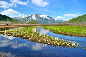 【勝田駅・水戸駅・土浦駅発】 尾瀬認定ガイド付きで安心！ 花咲く尾瀬ヶ原ハイキング約５時間と旬のフルーツ狩り　２日間1