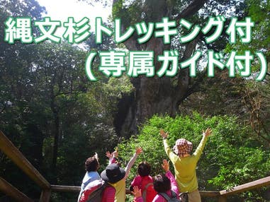 ■往復航空機利用！≪完全貸切ガイドと行く！縄文杉トレッキングツアー付きプラン≫お好きな宿をお選びいただけます！　2泊3日