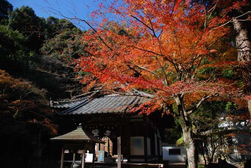 【高松駅発】 愛媛屈指の紅葉SNS映えスポット！絵画の様な絶景奥道後壱湯の守 「紅葉窓」＆県内随一の名所「もみじ寺」西山興隆寺　日帰り2