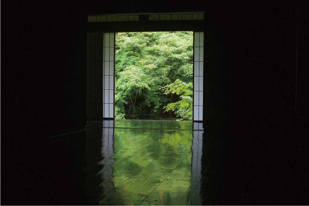 ＜京都＞京都岩倉 実相院門跡の「床みどり」と宝厳院 春の特別拝観「青もみじ」ご鑑賞【垂水・名谷・西鈴蘭台出発】1