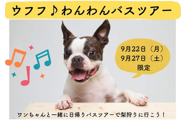 WEB限定】 9月22日(月）、9月27日（土）＜ワンヘルス モニターツアー