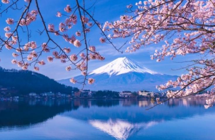 [上野/新宿発]訪れたいスポットとして人気の富士山と忍野八海をめぐり日本最大級のプレミアムアウトレットまで！山梨県ご当地ブランド牛の甲州ワインビーフのステーキに舌鼓！ 大満喫日帰りバスツアー！(英語ガイド付)1
