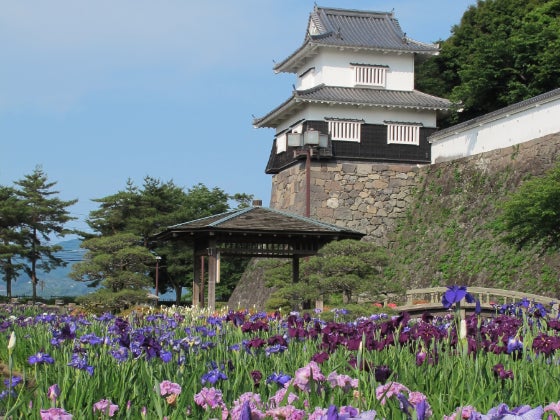 【バスハイク／博多・基山発着／添乗員同行】 ★西鉄旅行 貸切運行★観光列車しまてつカフェトレイン 美しき島原城の桜・日本さくら名所100選の地 大村公園3