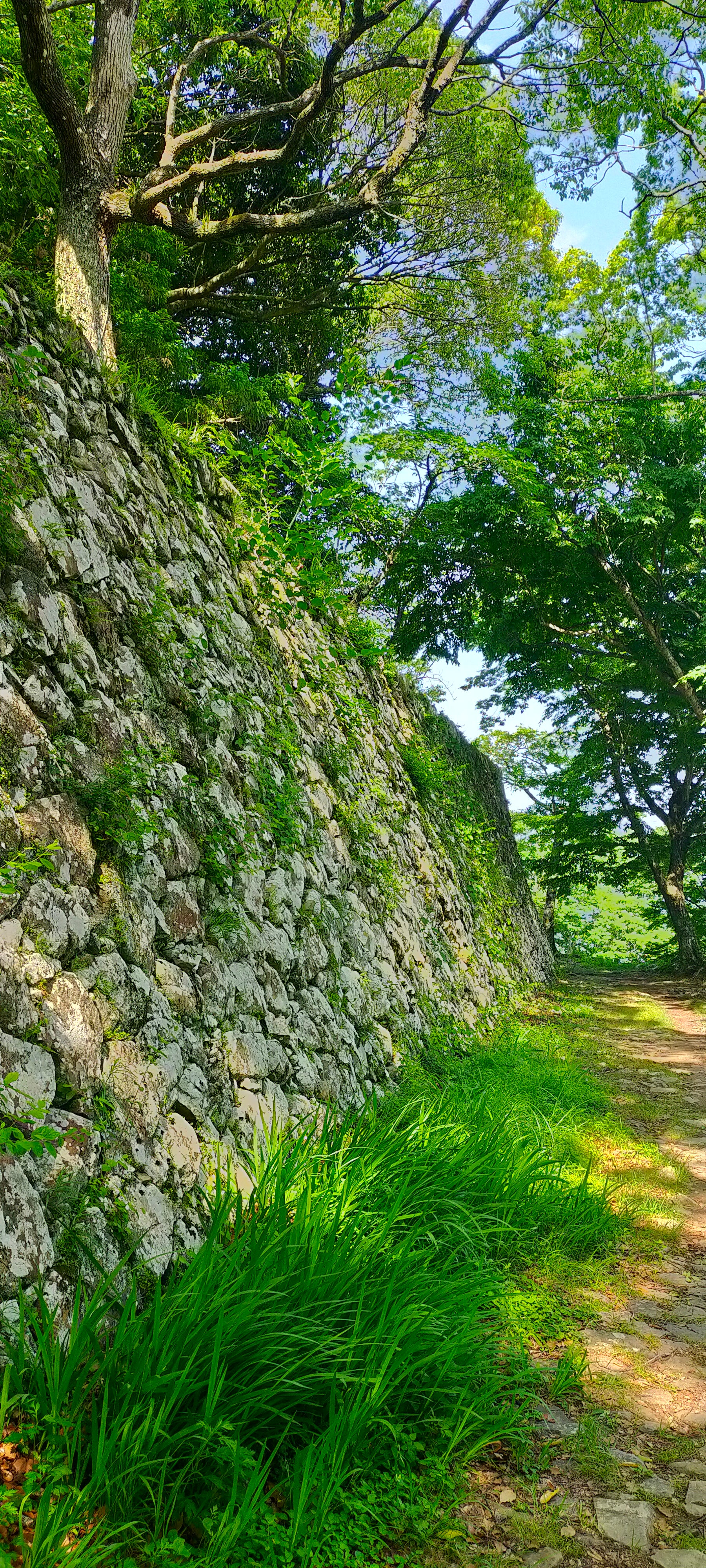 【羽田空港発】 《続日本100名城めぐり》九州編 その１ ～福岡、佐賀、大分県完全制覇～ ３日間2